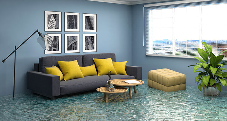 Water Damage Repair,